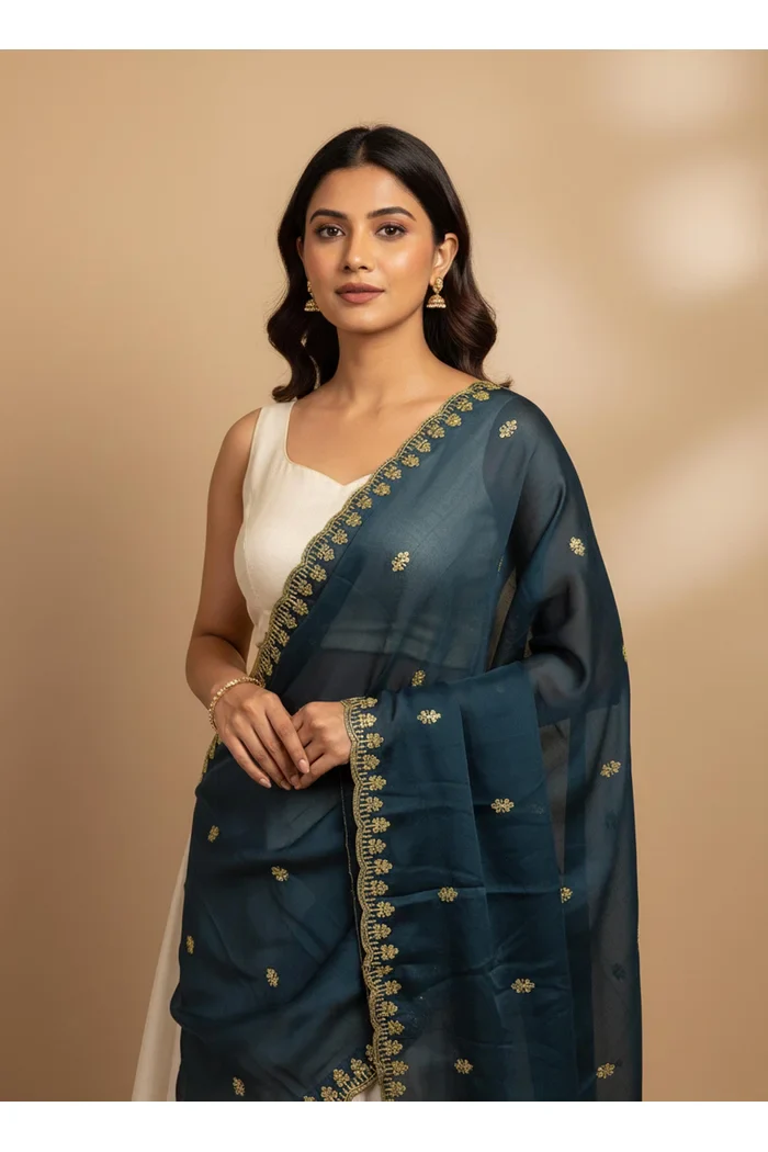 Beautiful Embroidery Rangoli Dupatta for women | Only Dupatta Aditi Dup - Image 23