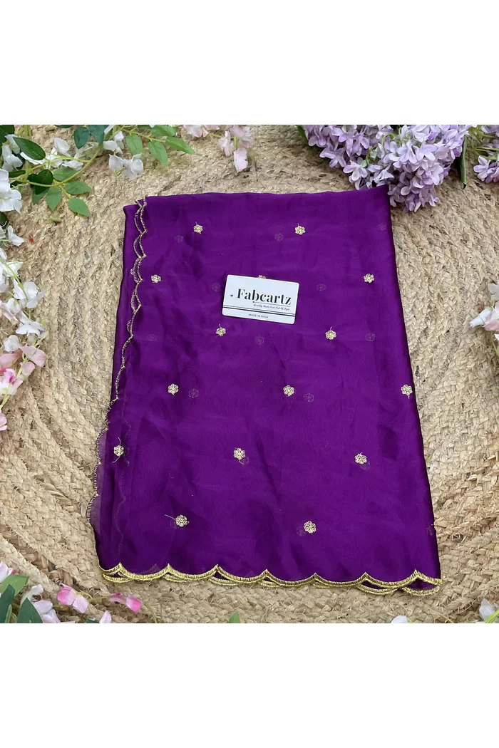 Beautiful Embroidery Rangoli Dupatta for women | Only Dupatta Bittu Dup - Image 14