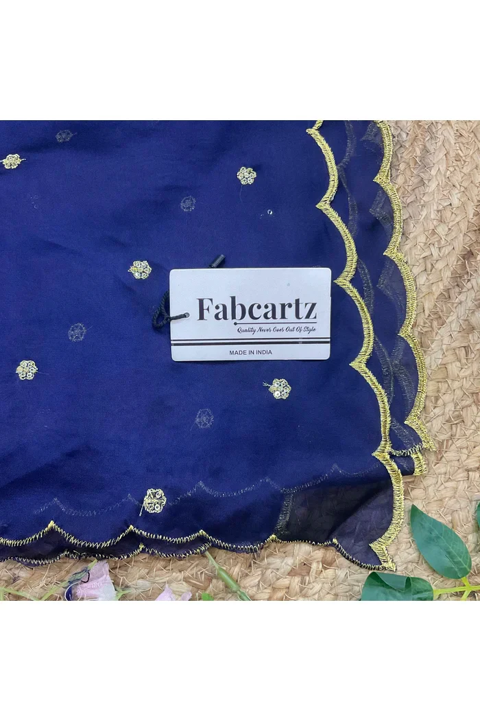 Beautiful Embroidery Rangoli Dupatta for women | Only Dupatta Bittu Dup - Image 32
