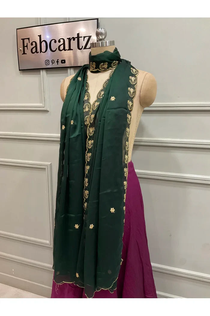 Beautiful Embroidery Rangoli Dupatta for women | Only Dupatta Chote Morwali Dup - Image 4