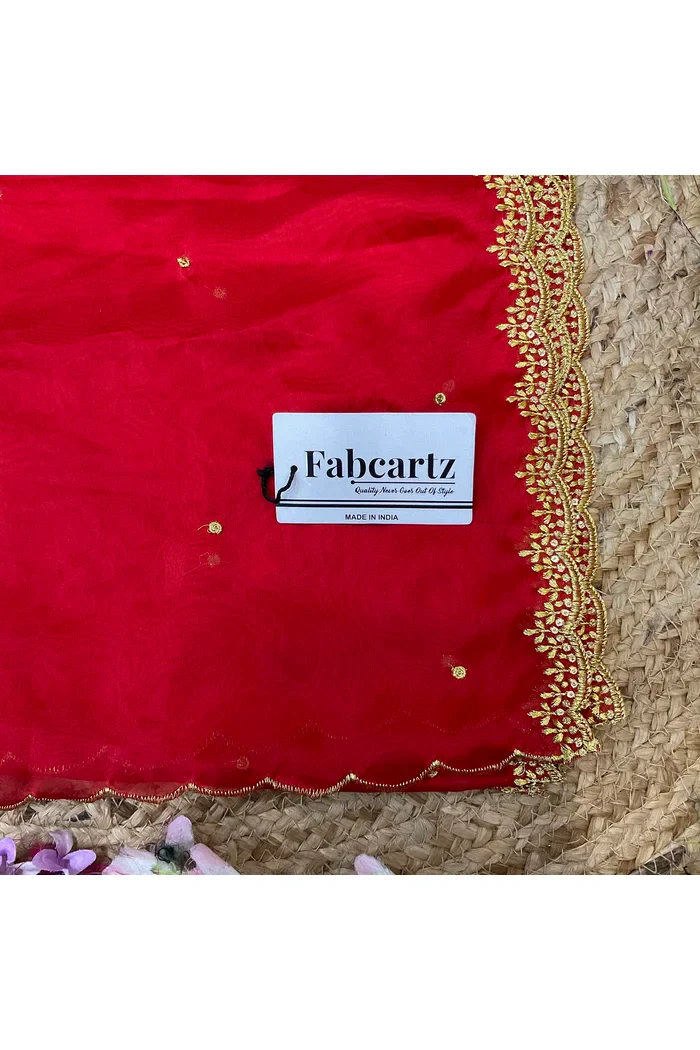 Beautiful Embroidery work Rangoli Dupatta for women | Only Dupatta Ishita Dup - Image 40