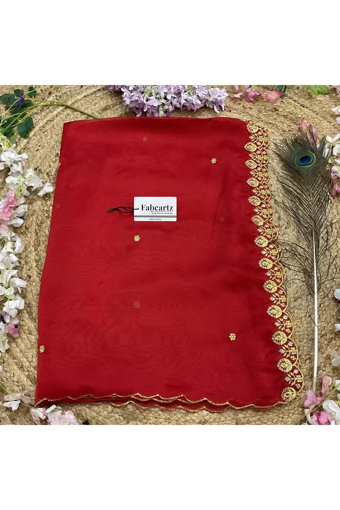 Beautiful Embroidery work Rangoli Dupatta for women | Only Dupatta Starwars Dup - Image 39