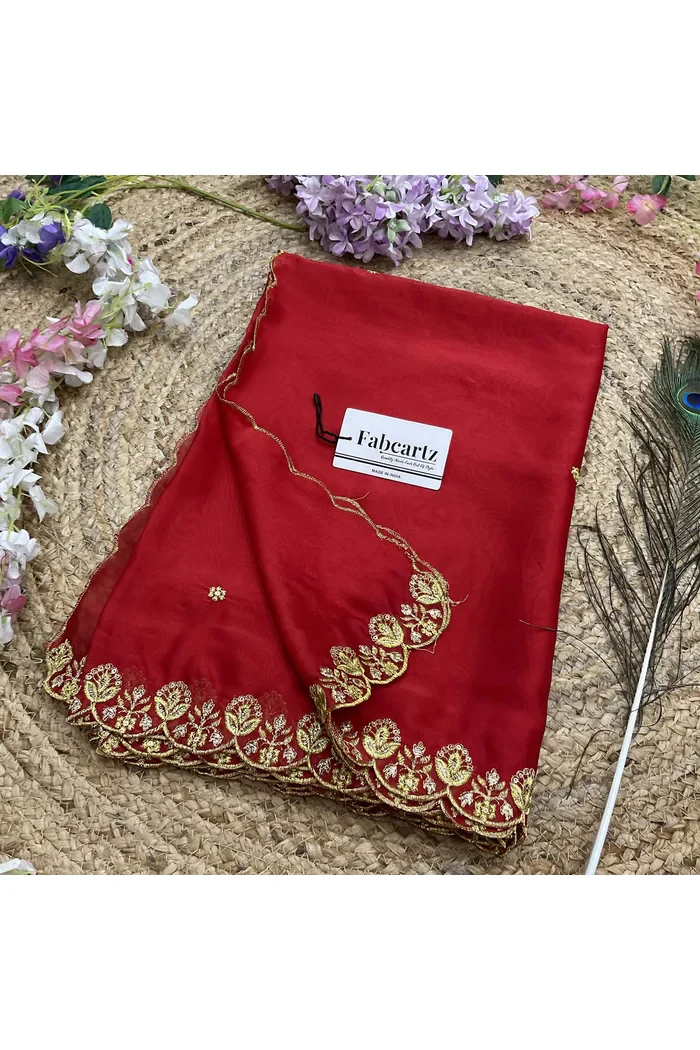 Beautiful Embroidery work Rangoli Dupatta for women | Only Dupatta Starwars Dup - Image 41