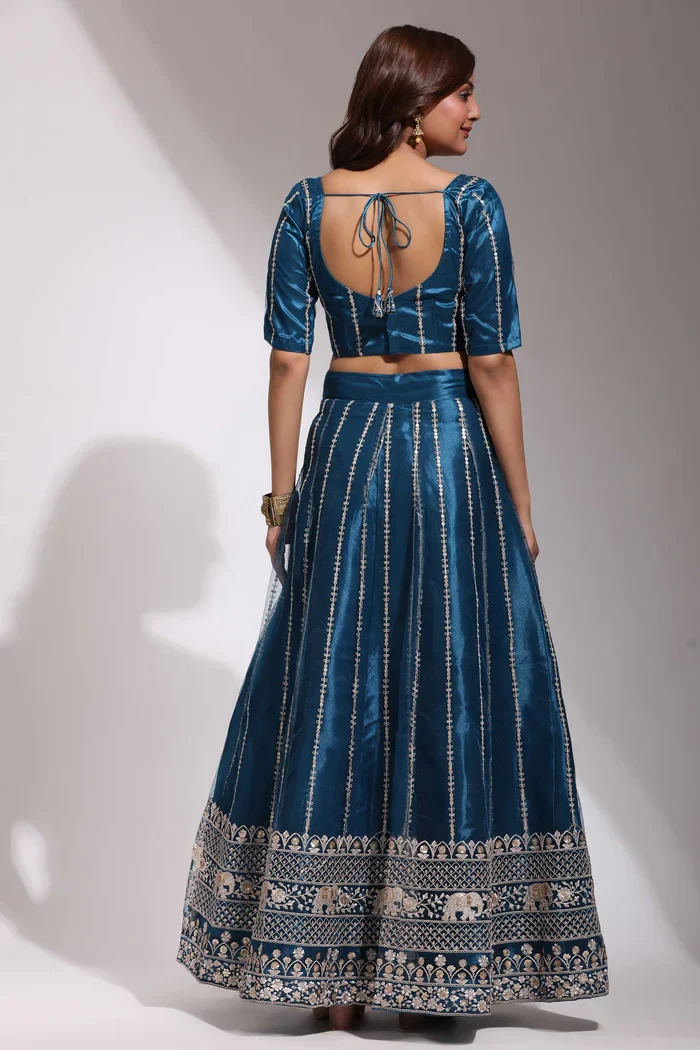 Women's Embroidered Net Lehenga Choli with Sequins Work DevShena - Image 16