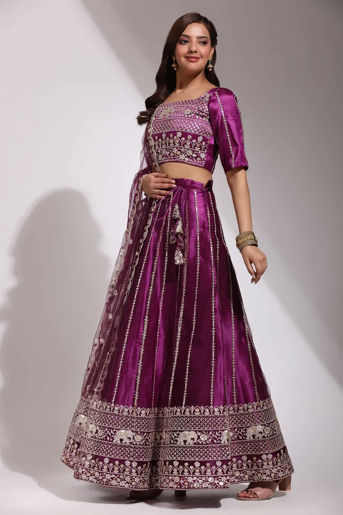 Women's Embroidered Net Lehenga Choli with Sequins Work DevShena - Image 25
