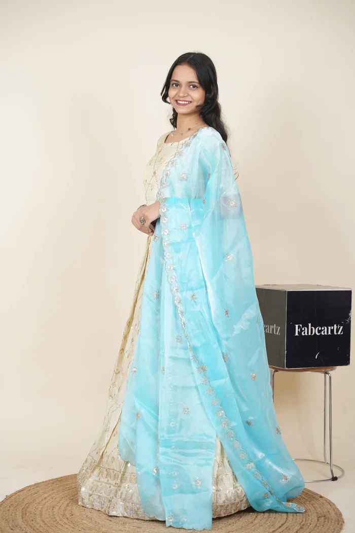 South Indian Festival Traditional Lehenga Choli Jiyaan - Image 65