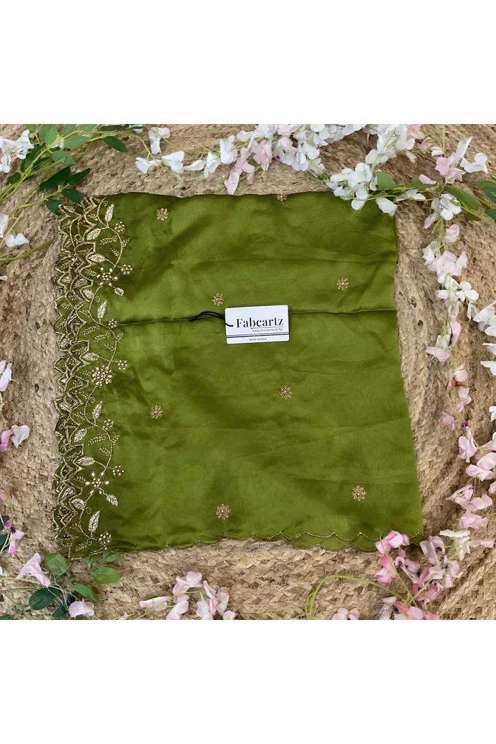 Beautiful Embroidery & Beads work Rangoli Dupatta for women | Only Dupatta RangoliDup - Image 36