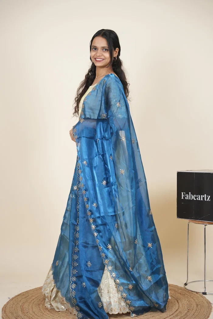 South Indian Festival Traditional Lehenga Choli Shizuka - Image 48